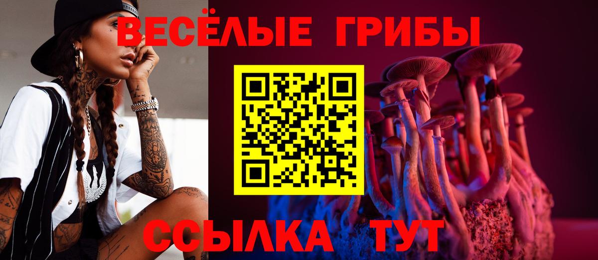 Псилоцибиновые грибы Psilocybine cubensis  Псилоцибиновые грибы мицелий  цены наркотик  Уссурийск  Вход с VPN 